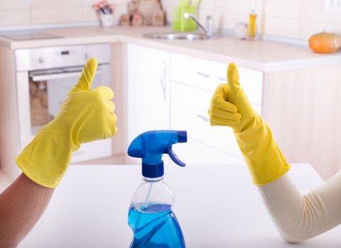 Professional sofa cleaning in a bright living room