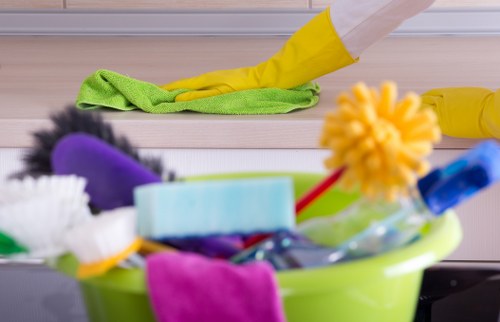 Professional upholstery cleaning of a living room sofa