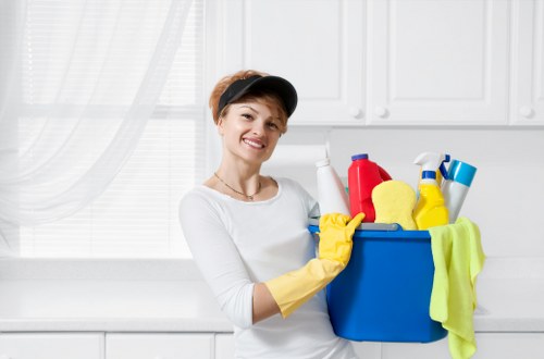 Carpet pet stain odour removal treatment in a living room