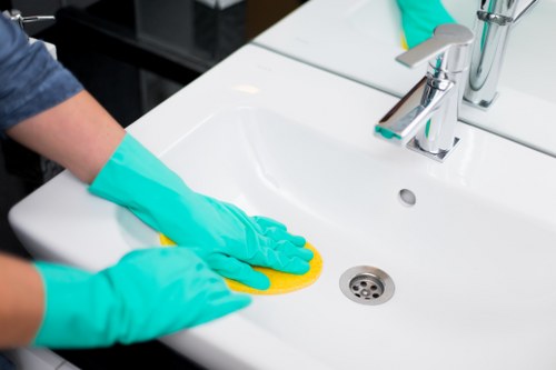 Common stain removal supplies arranged on a clean surface