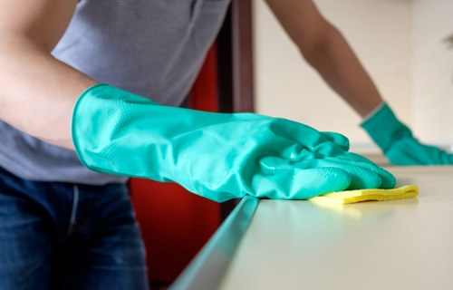 Professional carpet cleaning tools and equipment ready for use
