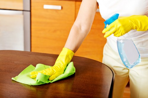 Carpet stain removal process using blotting and safe cleaner